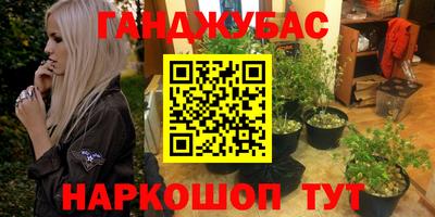 шишки Бузулук