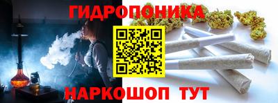 шишки Бузулук