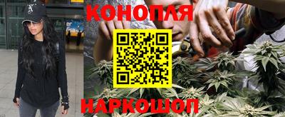 шишки Бузулук