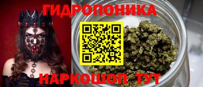 шишки Бузулук